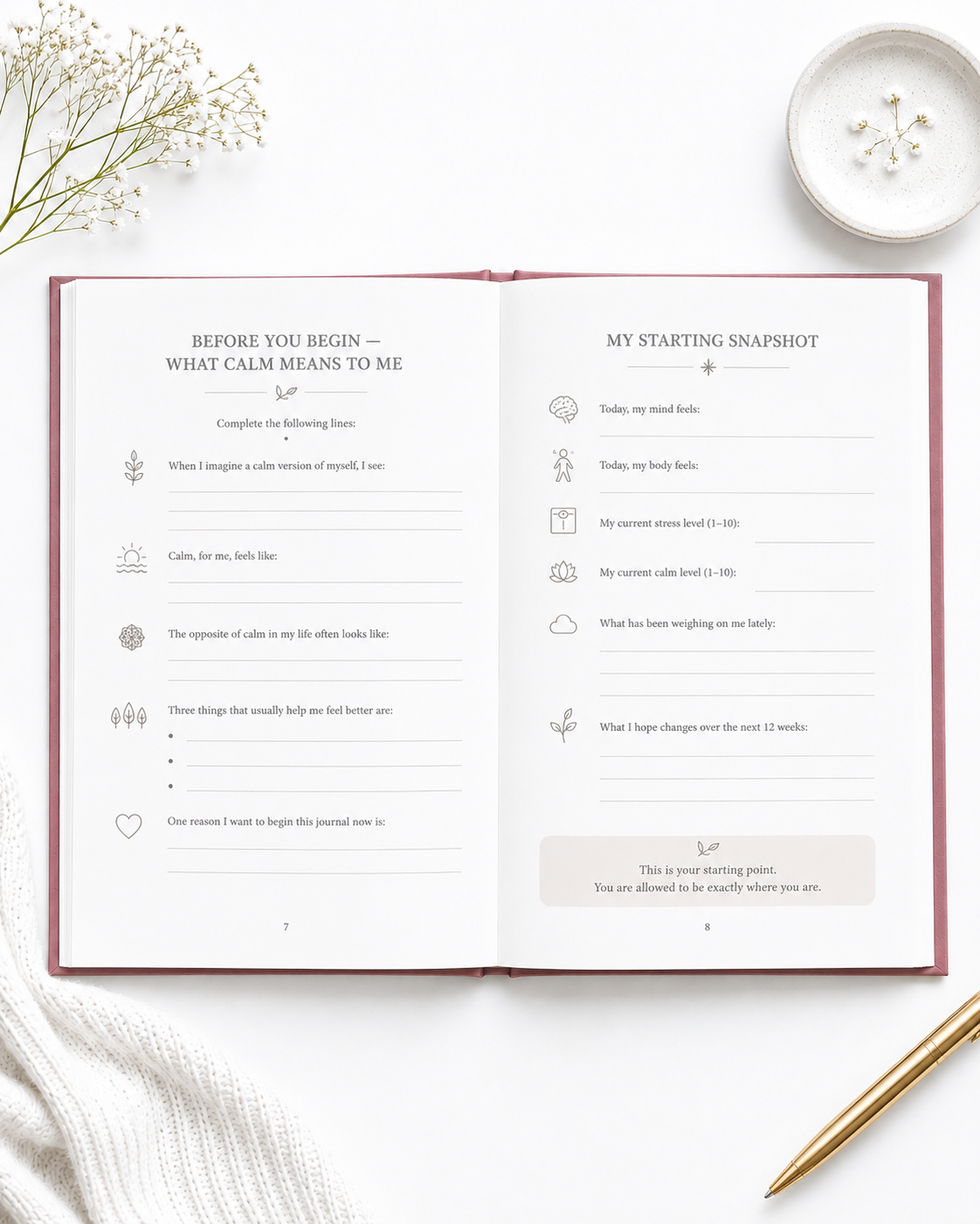 The Daily Calm Journal